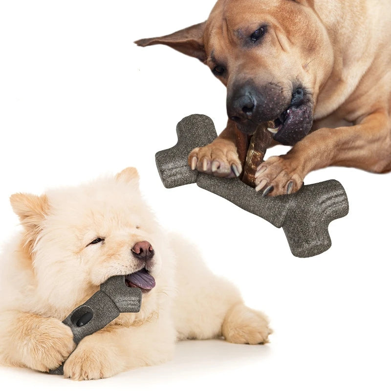 🦴 Zenibone™ - Sa dose d’instinct, ta dose de tranquillité.